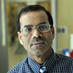 Headshot for Prof. Aravinda Kar.